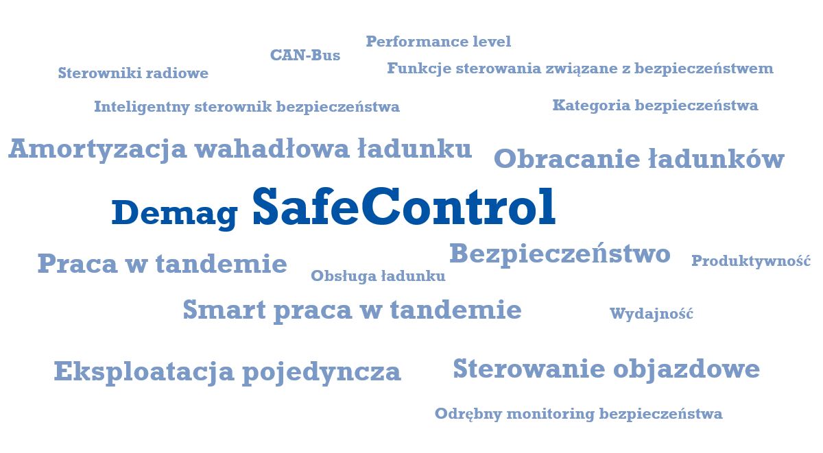 SafeControl_word_cloud_pl