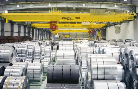 Demag process crane reviews