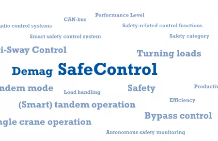 SafeControl_Word_Cloud