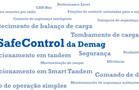 SafeControl_Word_Cloud_BR